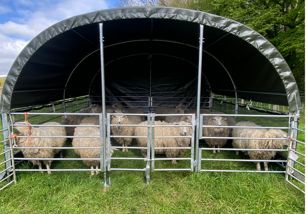 Protect Your Livestock with Durable Enclosed Shelters